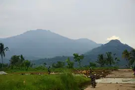 Dijual Tanah Kavling Murah di Bogor Timur Nuansa Alam Agroeduwisata