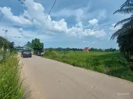 Tanah Talang Jambe Tepi Jlan Matara I