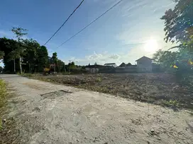 Tanah Murah Jogja Dekat Kampus UGM, UIN, UNY