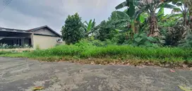 Tanah Murah di KM 9 Kebun Bunga: SHM