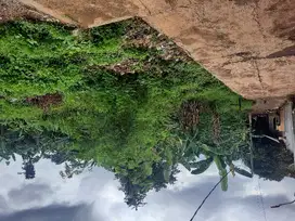 Dijual Tanah Dibawah pasar akses mobil di Jatisampurna