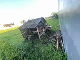 Tanah Hook Sulfat Blimbing Kota Malang