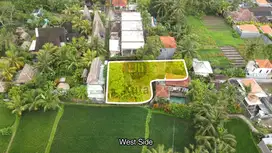 Tanah view Sawah Jl Sanggingan central Ubud