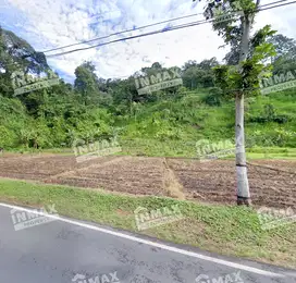 TANAH LUAS 3.050 m2 ,NGANTANG MALANG,DEKAT WISATA AIR TERJUN