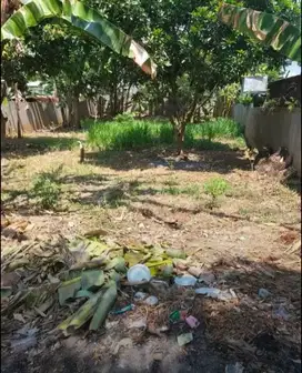 Tanah Tembalang Bulusan Ring 1 Dekat Kampus Undip Tembalang