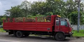 Truk Nissan Pk 250 N