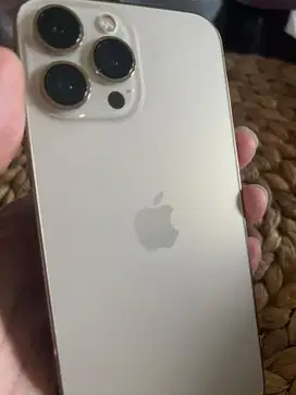 iPhone 13 Pro Max 256gb iBox Resmi