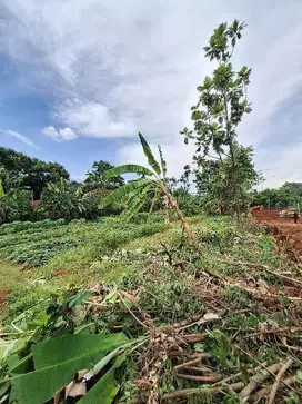 COCOK BUAT TOWNHOUSE, CLUSTER, PERUMAHAN ATAU SEKOLAHAN DI CIGANJUR