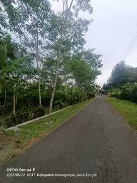 Dijual tanah cocok buat kebun durian dijumantono karanganyar