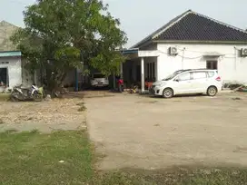 Pabrik Kerupuk Udang di Karawang Barat