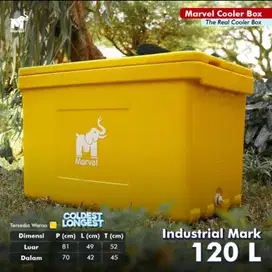 Cool box Ice Box Termos Es