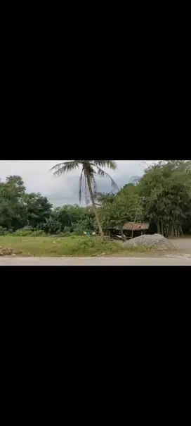 S M Property Dijual Tanah Parung Panjang Bogor Jawa Barat