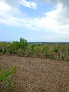 DIJUAL TANAH PECATU,KUTA SELATAN, BADUNG, BALI