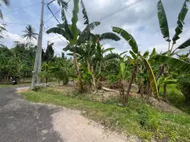 Tanah 1,5 Are Lingkungan Tenang View Sawah