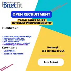 Team Leader Provider Internet Bnetfit