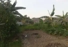 Tanah Kel Singosari Kec Kebomas Kab Gresik