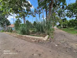 TANAH DI RAJABASA COCOK UNTUK MAKAM KELUARGA