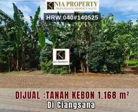 Dijual Tanah Kebon Cocok Untuk Usaha di Ciangsana Gunung Putri Bogor