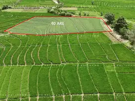 QUIET AND SCENIC LAND PLOT IN TABANAN WITH TOURISM POTENTIAL