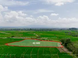 RARE INVESTMENT OPPORTUNITY IN BALI’S GREEN BELT – 40 ARE FREEHOLD LAN