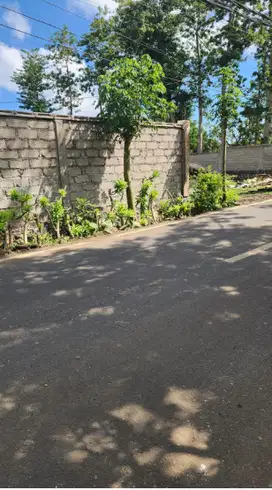 Tanah 15 Are di Balangan Jimbaran