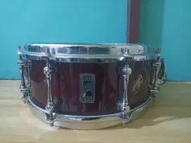 Snare drum 13 Blackpanther cherry