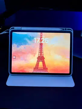 Ipad Pro 11 256GB WIFI Ex IBOX