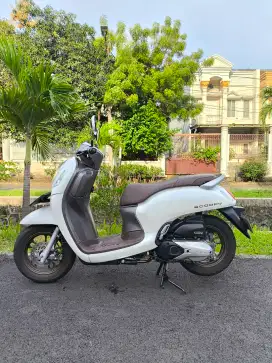 Scoopy Prestige 2024 GRESS Low KM