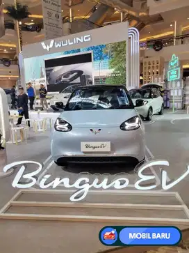 [Mobil Baru] Promo Wuling Binguo EV Termurah sejabotabek*