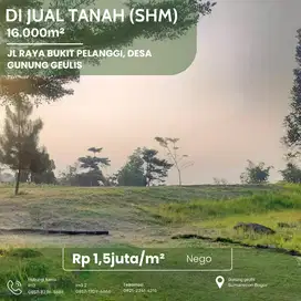 Dijual Tanah ±1.6 Ha di Gn. Geulis – SHM & AJB, Harga 1.5jt/m² Nego