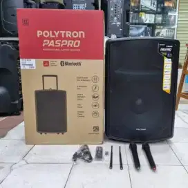Speaker Polytron PAS PRO15F3