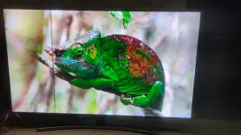 Smart tv Qled curve 55 inch with one connect minus garis