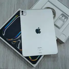 ipad pro m4 256GB ex ibox