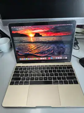Macbook Retina 12 inch 2017