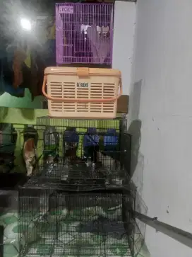 Kandang  & box/keranjang