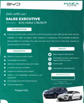 Sales Executive Mobil