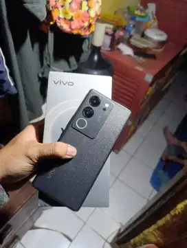 Vivo v29 5G 8/256
