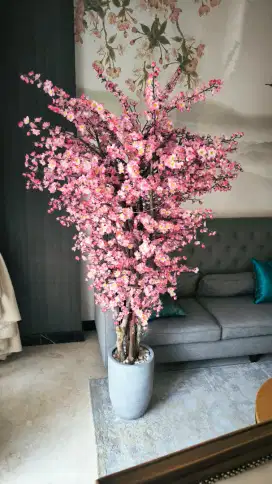 POHON SAKURA CHINESE