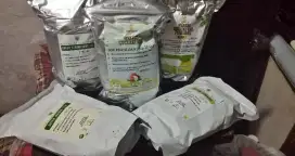 Serbuk minuman berbagai rasa