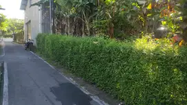 Tanah pekarangan murah di joyosuran pasar Kliwon