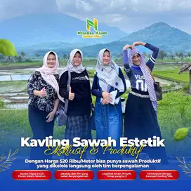 Dijual Tanah Kavling Sawah Produktif diTanjungsari Bogor Dekat Cibubur