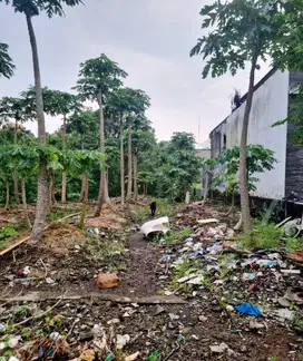 TANAH KAVLING LUAS 354 m2 DALAM PERUMAHAN DI KOTA TABANAN