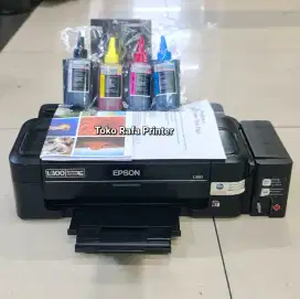Printer Epson L300 Print Only
