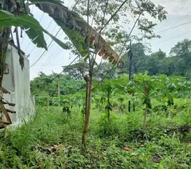 Tanah Kavling 126 m2 Dalam Perumahan Di Samsam, Tabanan