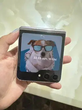 FS Samsung Z Flip 5 256