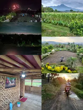 DI JUAL TANAH PRODUKTIF 3 haktar
