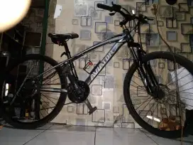 Sepeda Gunung/ MTB Aviator 26