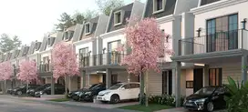 Maison de Wisteria Tipe C