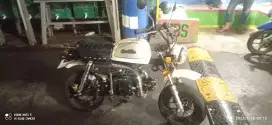 monkey gas-gas 2023