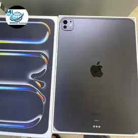 IPAD PRO M4 11-inch 256gb wifi resmi ibox